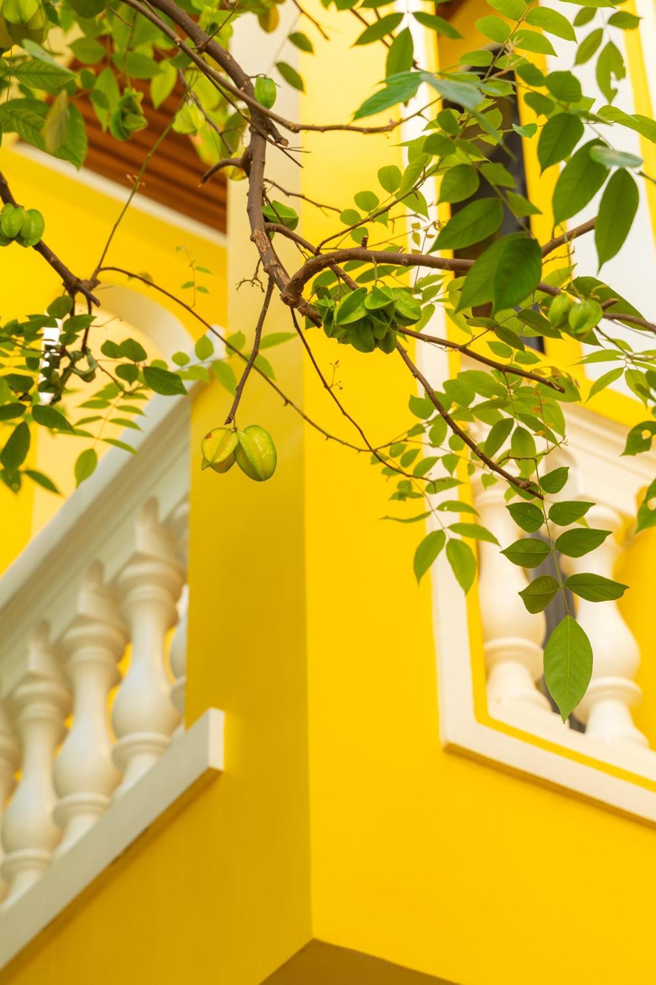 Quyen'S House Homestay Hội An Buitenkant foto